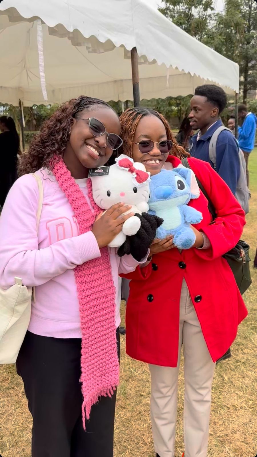 Group Hugging Plushies